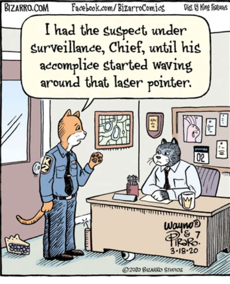 Mystery Fanfare Cartoon Of The Daycats