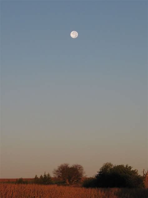 Full Moon Morning Full Moon Outdoor Celestial