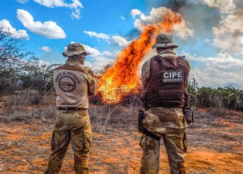 Este le da facultades extraordinarias al presidente de la república para emitir decretos legislativos con el fin de asegurar la estabilidad institucional, la seguridad del estado. Operação erradica 64 mil pés de maconha no interior do ...