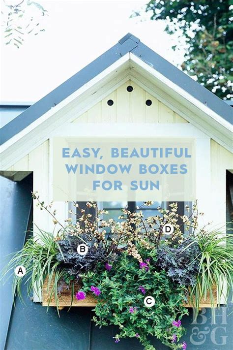 Easy Recipes For Beautiful Window Boxes In Sunny Spots Window Box