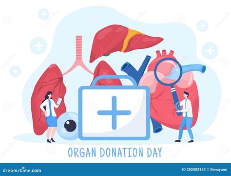 World Organ Donation Day Illustration With Kidneys Heart Lungs Eyes