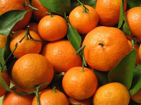 Get Ready for Citrus Sunday!
