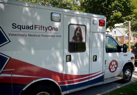 Ambulance Gallery Squad Fiftyone Pet Emergency Response