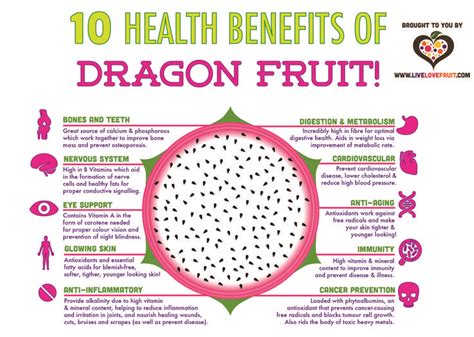 10 Amazing Health Benefits Of Dragon Fruit Live Love