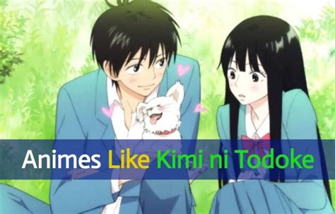 15 Best Animes Like Kimi Ni Todoke