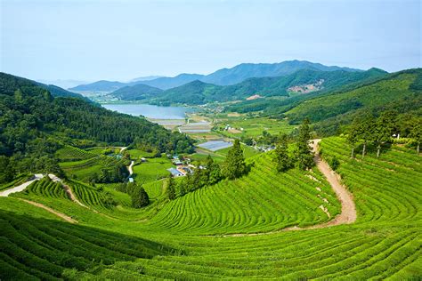 20 Best Places To Visit In South Korea In 2022 Itinku