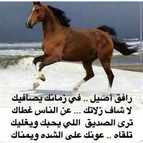 القول في تأويل قوله تعالى زوج زيد بن حارثة زينب بنت جحش، ابنة عمته، فخرج رسول الله صَلَّى الله عَلَيْهِ وَسَلَّم يومًا يريده وعلى الباب ستر من شعر، فرفعت الريح الستر فانكشف، وهي في حجرتها حاسرة، فوقع إعجابها في قلب النبي صَلَّى الله عَلَيْهِ وَسَلَّم، فلما وقع ذلك. شعر مدح في شخص غالي , مدح الاحباب والغاليين - الاصدقاء ...