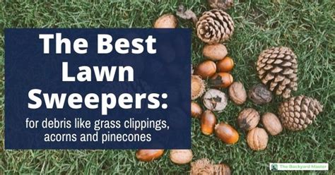 The Best Lawn Sweepers 2022 Reviews And Buyers Guide The Backyard Master
