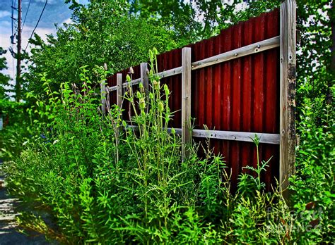 Rusted Fence In The Overgrowth 2 Photograph By Don Baker Fine Art America