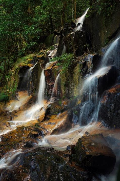 Waterfall Stream Flowing In The Tropical Rainforest And Moss Covering