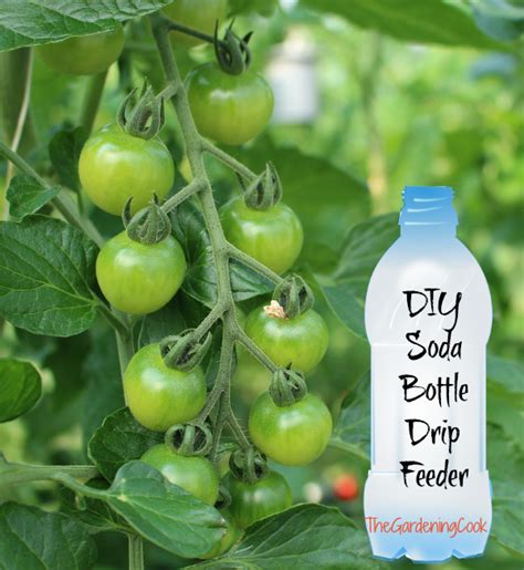 The most important of all, it allows the moisture to be delivered straight to the roots, where the plants need it the most. Soda Bottle Drip Feeder