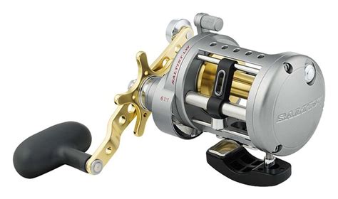 Daiwa Saltist Levelwind Conventional Reel Florida Fishing Outfitters