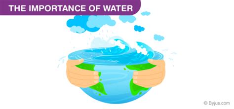Importance Of Water List Of Important Uses Of Water Video