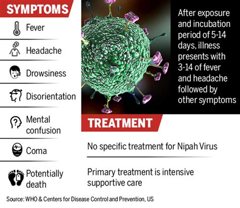 A nipah virus infection is a viral infection caused by the nipah virus. Nipah Virus: All about Nipah, the virus that has entire ...