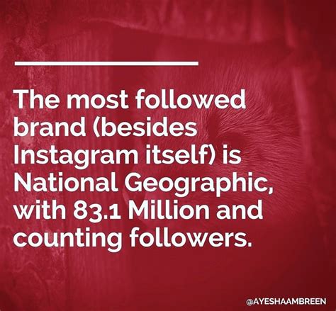 The Most Followed Brand Besides Instagram Itself Is National Geographic