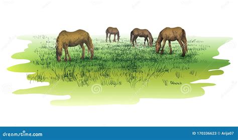 Horses Standing Eating On Meadow Grass Background Stock Vector
