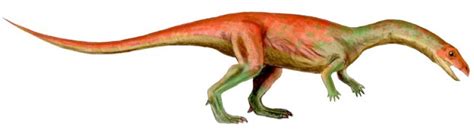 Mesozoic Era Animals List Animals That Lived In The Mesozoic Era