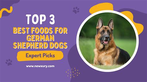 The Top 3 Best Foods For German Shepherd Dogs Expert Picks