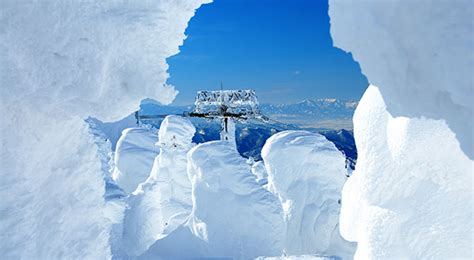 Zao Yamagata Snow Monster Japans Most Spectacular Views In Winter