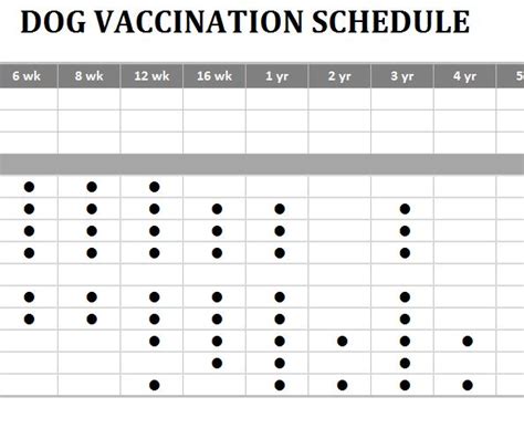 Puppy Vaccination Schedule Printable That are Mesmerizing | Hunter Blog