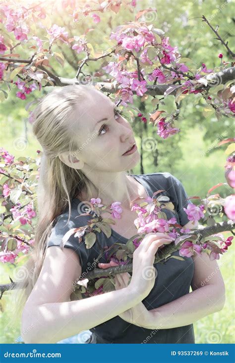 Young Attractive Woman Standing Near The Blossoming Crimson Apple Tree Toning Stock Image