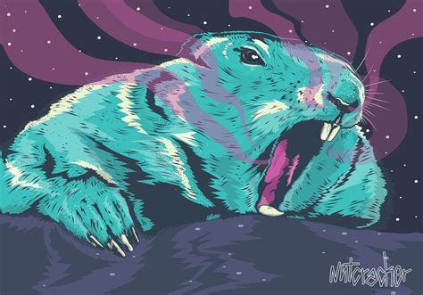 Beaver Illustration Kinderboek