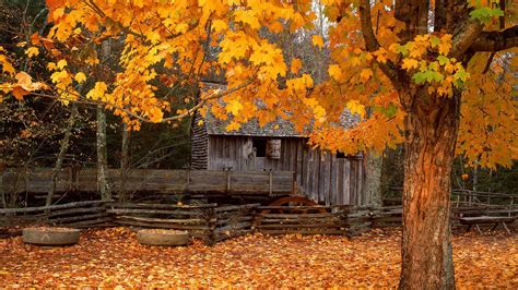 Download Autumn Cabin Wallpaper 1920x1080 Wallpoper 151707