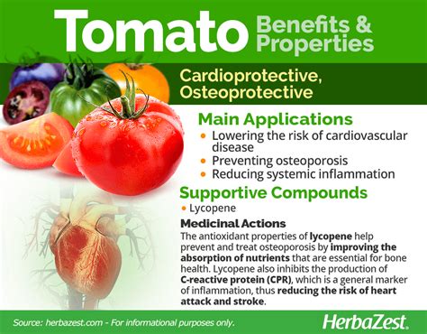 Health Benefits Of Tomatoes The Health Benefits Of Tomatoes For