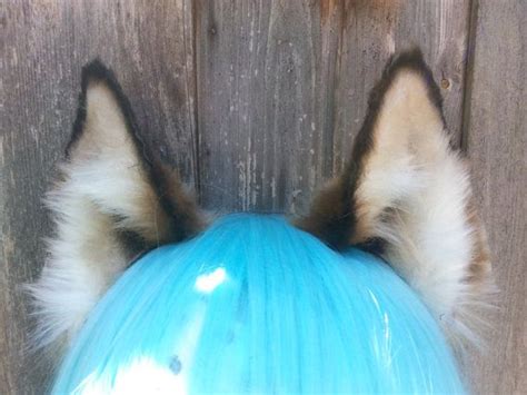 Draw the fur in random when coloring the ears make the insides slightly darker than the outsides. Wolf ears | Wolf ears, Wolf and Costumes