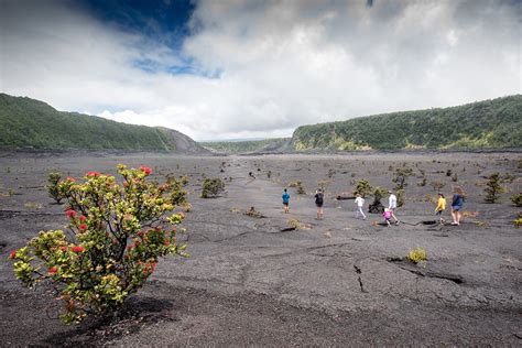24 Incredible Hawaii Volcanoes National Park Facts Every Visitor Should