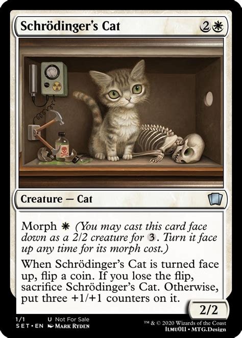 schrödinger s cat r custommagic