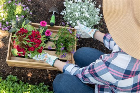 How To Plant Flowers Everything You Need To Know About Having A