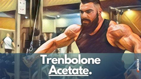 Trenbolone Acetate Max Benefits W Ideal Dosage And Cycles