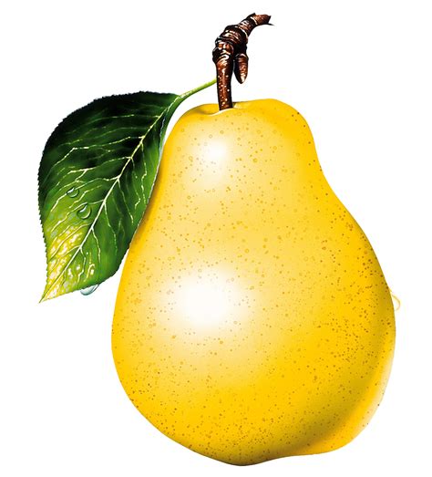 Hq Pear Png Transparent Pearpng Images Pluspng