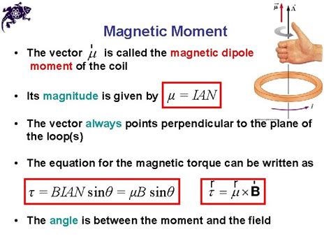 Chapter 29 Magnetic Fields Magnets In Each Magnet