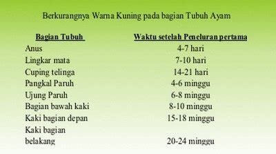 Check spelling or type a new query. SELEKSI AYAM PETELUR - PT. Primatama KaryaPersada Pullet