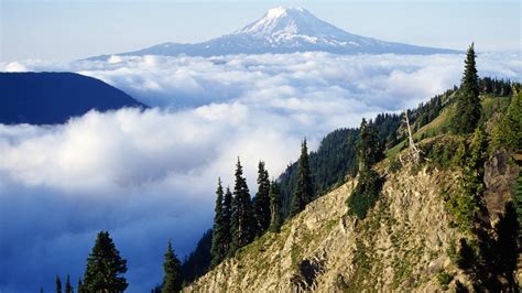 937931 Washington Mount Adams Usa Sky Forest Cavalo Far View