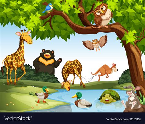 Many Wild Animals In The Park Royalty Free Vector Image