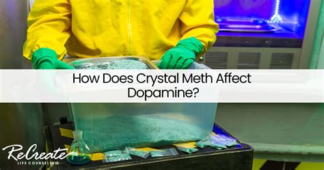 How Does Crystal Meth Affect Dopamine Recreate Life Counseling