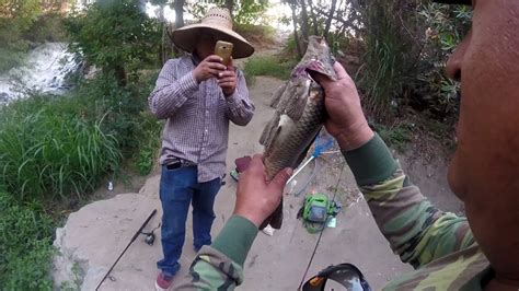 Balboa Park La River Fishing 06262016 Youtube