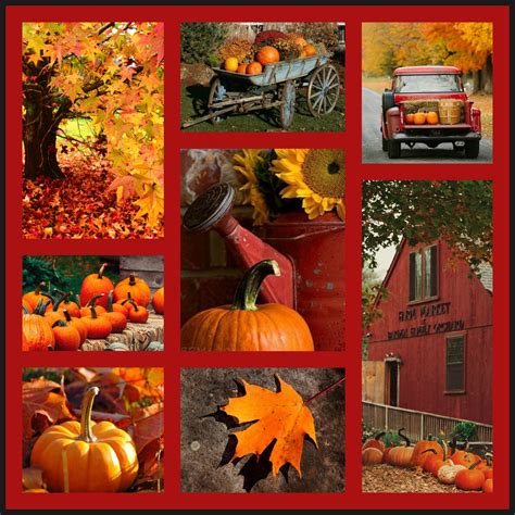 Beauty 16 Collage By Becky J Autumn Scenes Fall Photos Pumpkin Patch