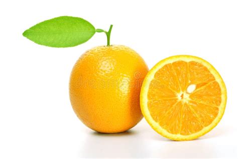 Fresh Oranges Stock Photo Image Of Halve Citrus Food 7306156