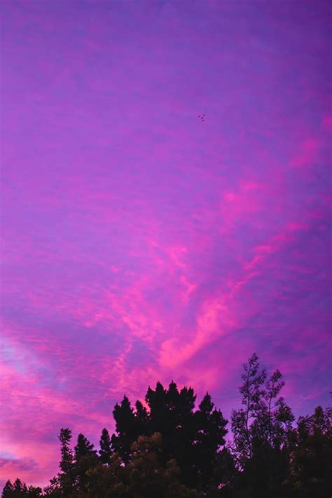 Pink And Purple Clouds Wallpapers Top Free Pink And Purple Clouds