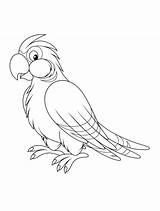 Parrot Coloring Animals Printable Birds sketch template