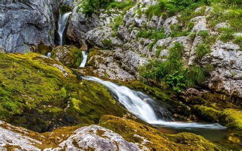 Triglav National Park Slovenia River Socha Near Its Source Landscape