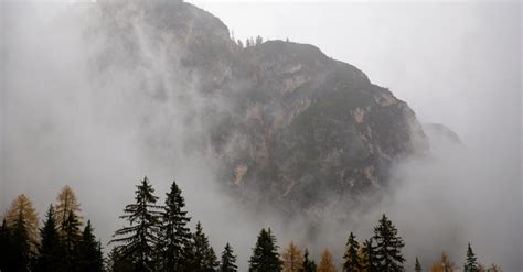 Photo Of Pine Trees Near Rocky Mountain · Free Stock Photo