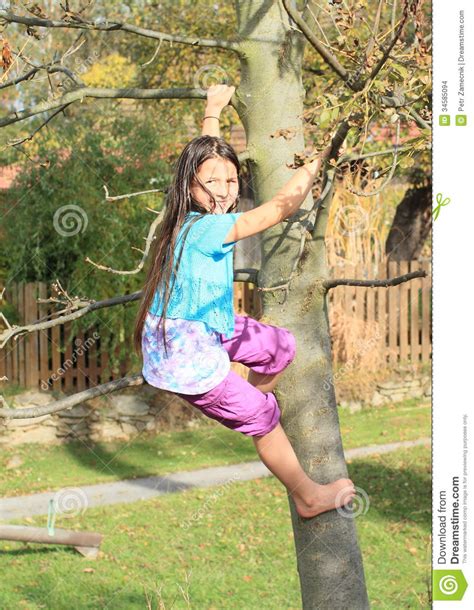 Little Kid Girl Climbing On Tree Stock Images Image