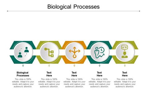 Biological Processes Ppt Powerpoint Presentation Professional Example