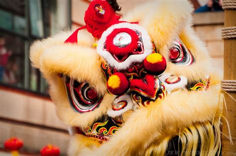 Chinese New Year Chinese Lion Dance Lion Dance Costume Lion Dance
