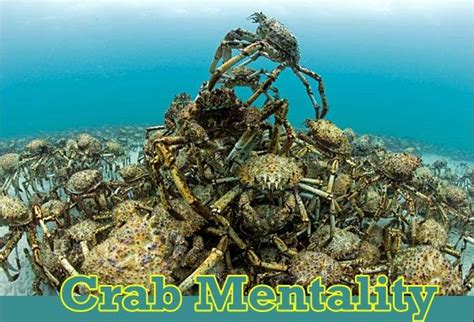 If you put crabs in a bucket, they perform a behavior that happens when someone tries to climb from the pail. Crab Mentality - Ren and Hiedi